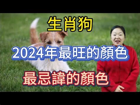 生肖狗幸運色|【屬狗幸運色】揭秘2024年屬狗必備幸運色！衝破運。